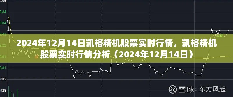 凯格精机股票实时行情报告及分析（2024年12月14日）