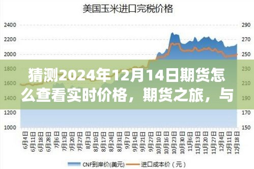 探索期货之旅，如何预测与实时查看2024年12月14日期货价格动态