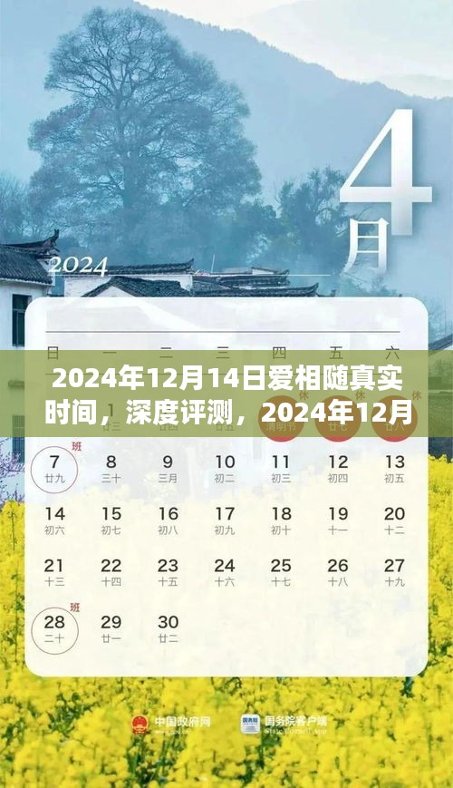 2024年12月14日爱相随产品深度评测与全面介绍